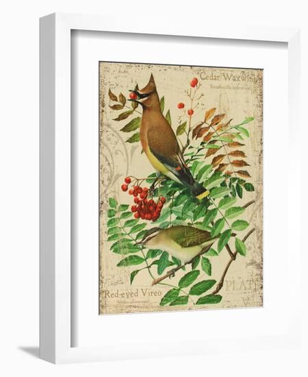 Cedar Waxwing-Kate Ward Thacker-Framed Giclee Print