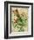 Cedar Waxwing-Kate Ward Thacker-Framed Giclee Print