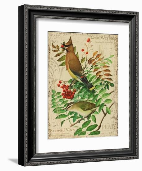 Cedar Waxwing-Kate Ward Thacker-Framed Giclee Print