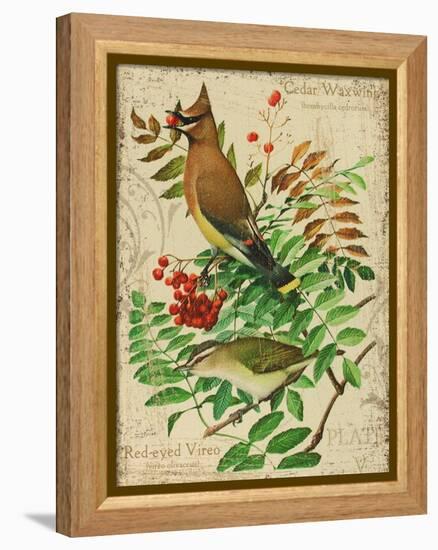 Cedar Waxwing-Kate Ward Thacker-Framed Premier Image Canvas