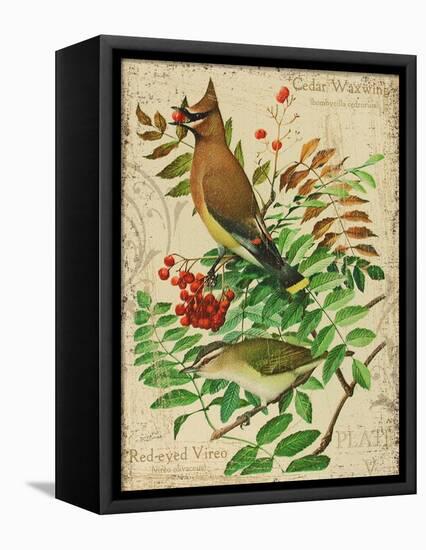 Cedar Waxwing-Kate Ward Thacker-Framed Premier Image Canvas