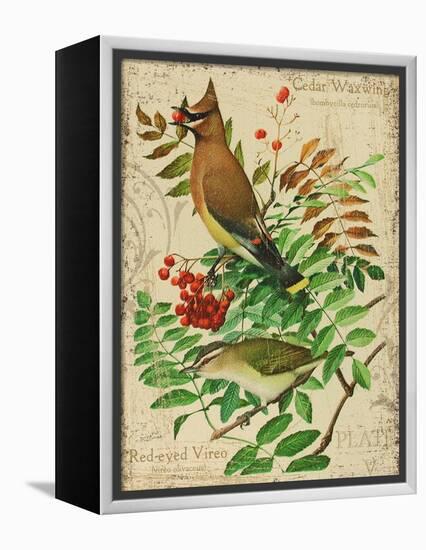 Cedar Waxwing-Kate Ward Thacker-Framed Premier Image Canvas