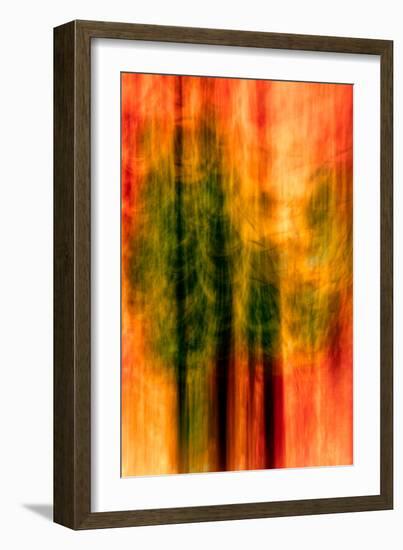 Cedars At Night-Ursula Abresch-Framed Photographic Print