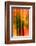 Cedars At Night-Ursula Abresch-Framed Photographic Print