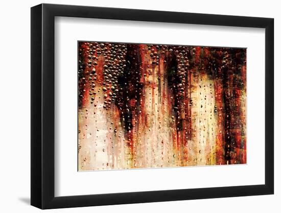 Cedars in the Rain-Ursula Abresch-Framed Photographic Print