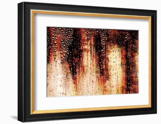 Cedars in the Rain-Ursula Abresch-Framed Photographic Print