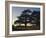 Cedars of Lebanon at the Foot of Mount Djebel Makhmal Near Bsharre, Lebanon, Middle East-Ursula Gahwiler-Framed Photographic Print