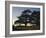 Cedars of Lebanon at the Foot of Mount Djebel Makhmal Near Bsharre, Lebanon, Middle East-Ursula Gahwiler-Framed Photographic Print