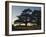 Cedars of Lebanon at the Foot of Mount Djebel Makhmal Near Bsharre, Lebanon, Middle East-Ursula Gahwiler-Framed Photographic Print