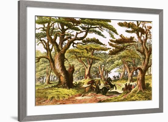 Cedars of Lebanon-English-Framed Giclee Print