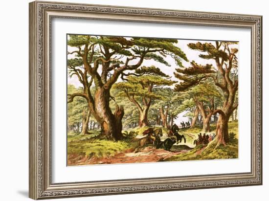 Cedars of Lebanon-English-Framed Giclee Print