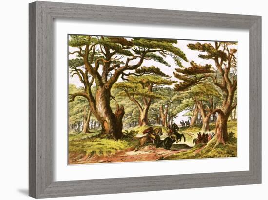 Cedars of Lebanon-English-Framed Giclee Print