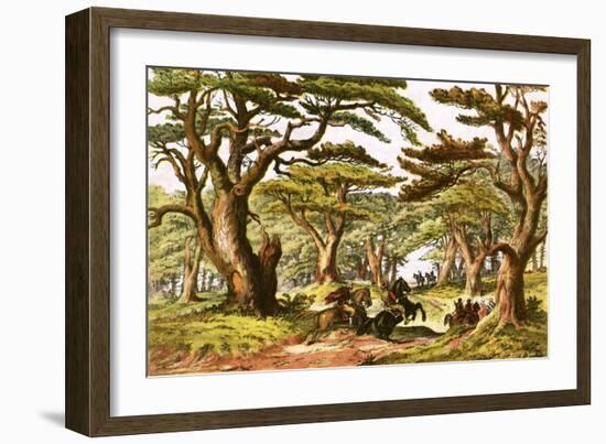 Cedars of Lebanon-English-Framed Giclee Print