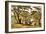 Cedars of Lebanon-English-Framed Giclee Print