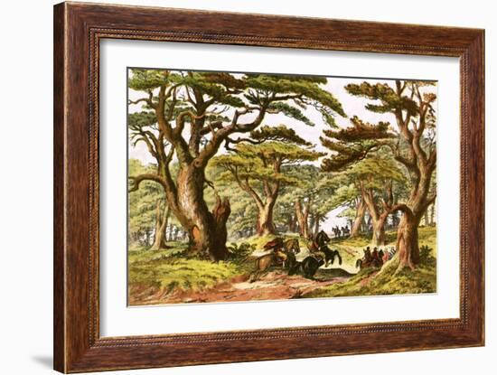 Cedars of Lebanon-English-Framed Giclee Print