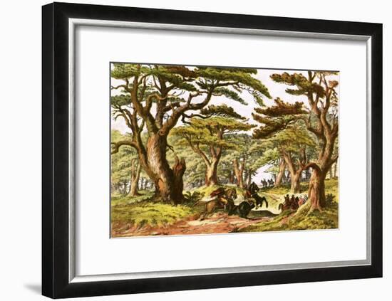 Cedars of Lebanon-English-Framed Giclee Print
