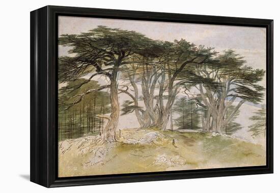 Cedars of Lebanon-Edward Lear-Framed Premier Image Canvas