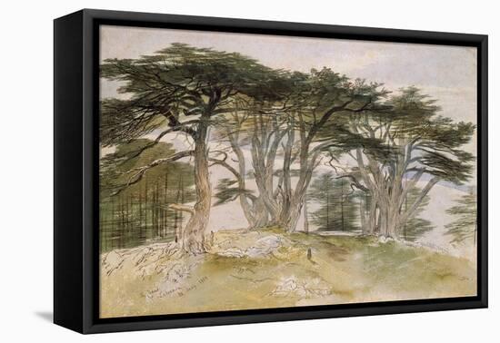 Cedars of Lebanon-Edward Lear-Framed Premier Image Canvas