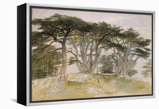 Cedars of Lebanon-Edward Lear-Framed Premier Image Canvas