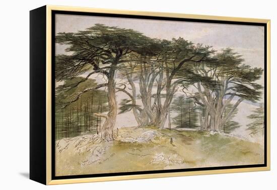 Cedars of Lebanon-Edward Lear-Framed Premier Image Canvas