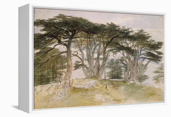 Cedars of Lebanon-Edward Lear-Framed Premier Image Canvas