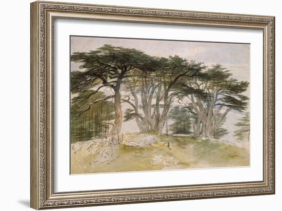 Cedars of Lebanon-Edward Lear-Framed Giclee Print