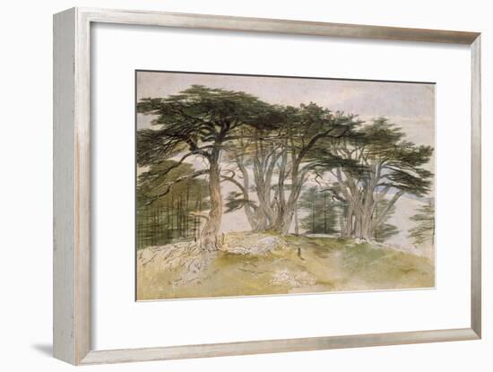 Cedars of Lebanon-Edward Lear-Framed Giclee Print