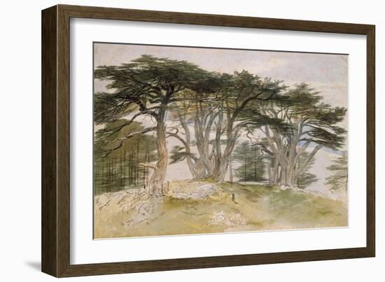 Cedars of Lebanon-Edward Lear-Framed Giclee Print