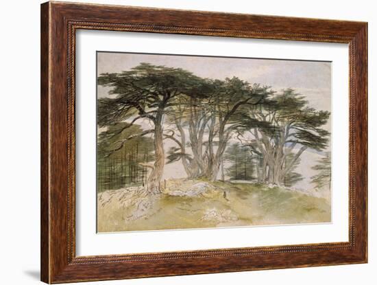 Cedars of Lebanon-Edward Lear-Framed Giclee Print