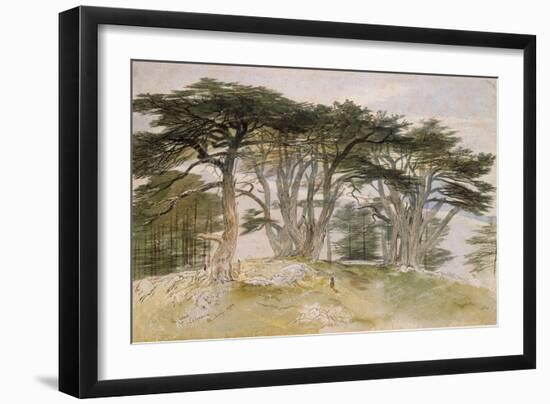 Cedars of Lebanon-Edward Lear-Framed Giclee Print