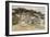 Cedars of Lebanon-Edward Lear-Framed Giclee Print