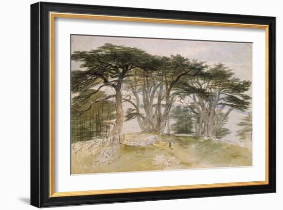 Cedars of Lebanon-Edward Lear-Framed Giclee Print