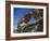 Cederberg, Western Cape Province, South Africa, Africa-I Vanderharst-Framed Photographic Print