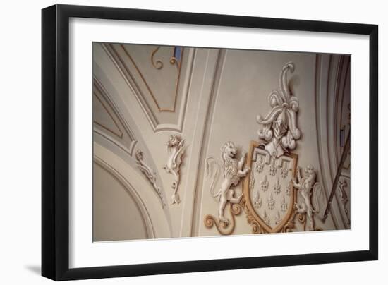 Ceiling Decoration from the Upper Gallery-null-Framed Giclee Print