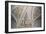 Ceiling Decoration from the Upper Gallery-null-Framed Giclee Print