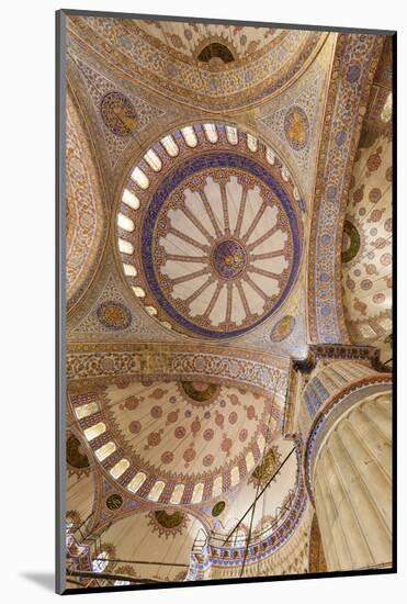 Ceiling Decoration in the Blue Mosque. Istanbul. Turkey-Tom Norring-Mounted Photographic Print