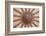 Ceiling Decoration in the Blue Mosque. Istanbul. Turkey-Tom Norring-Framed Photographic Print