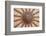 Ceiling Decoration in the Blue Mosque. Istanbul. Turkey-Tom Norring-Framed Photographic Print