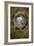 Ceiling medallion in the Camera degli Sposi. Fresco (1474).-Andrea Mantegna-Framed Giclee Print