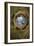 Ceiling medallion in the Camera degli Sposi. Fresco (1474).-Andrea Mantegna-Framed Giclee Print