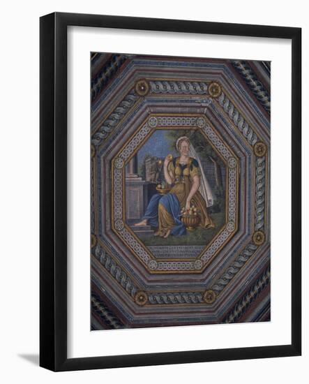 Ceiling of Chamber of Senses, Jindrichuv Hradec Castle, Bohemia, Detail, Czech Republic-null-Framed Giclee Print