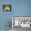 Ceiling of Khas Mahal in Agra Fort, Agra, Uttar Pradesh, India-Ian Trower-Framed Premier Image Canvas displayed on a wall