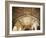 Ceiling of Khas Mahal in Agra Fort, Agra, Uttar Pradesh, India-Ian Trower-Framed Photographic Print