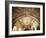 Ceiling of Khas Mahal in Agra Fort, Agra, Uttar Pradesh, India-Ian Trower-Framed Photographic Print