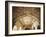 Ceiling of Khas Mahal in Agra Fort, Agra, Uttar Pradesh, India-Ian Trower-Framed Photographic Print