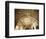 Ceiling of Khas Mahal in Agra Fort, Agra, Uttar Pradesh, India-Ian Trower-Framed Photographic Print