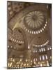 Ceiling of Sultan Ahmed Mosque in Istanbul, Turkey-David H. Wells-Mounted Photographic Print