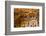 Ceiling of The Music Hall of Ali Qapu Palace with early acoustic design, Ali Qapu Palace, Isfahan,-James Strachan-Framed Photographic Print