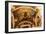 Ceiling, St Isaac's Cathedral, St Petersburg, Russia, 2011-Sheldon Marshall-Framed Photographic Print