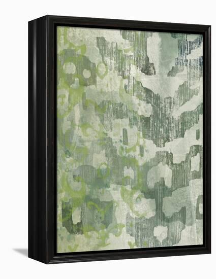 Celadon Ikat I-Chariklia Zarris-Framed Stretched Canvas